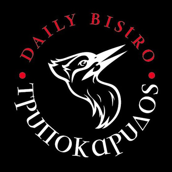 Τρυποκάρυδος